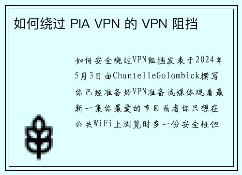 如何绕过 PIA VPN 的 VPN 阻挡